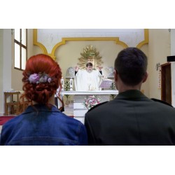 Květinový hřeben do vlasů "Pohlazení na duši"