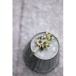 Flower groom's boutonniere, corsage
