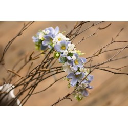 Floral, Flower headband, hairband