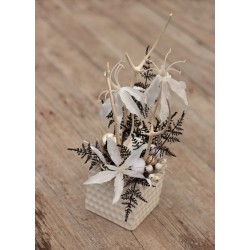 Winter, christmas arrangement