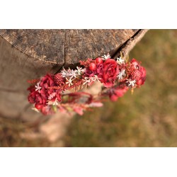 Floral, flower hair wreath, crown