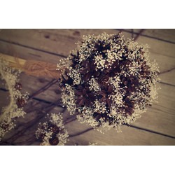 Wedding bridal bouquet with cones