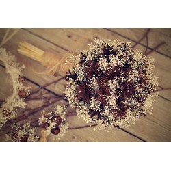 Wedding bridal bouquet with cones