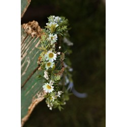 Floral, flower hair wreath, crown