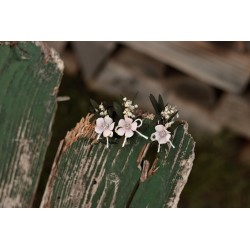 Flower wedding guest boutonniere, corsage