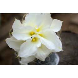 Wedding bridal bouquet