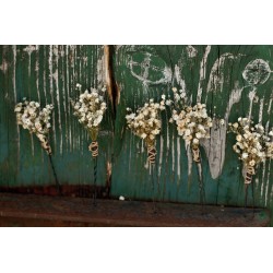 Vlásenka "Konzervovaná gypsophilla"