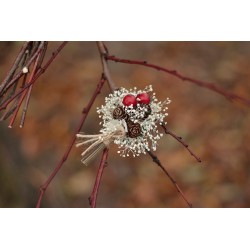 Korsáž - klopa svědka, otce "Šišková s gypsophillou a bobulemi II."