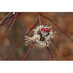 Flower groom's boutonniere,...