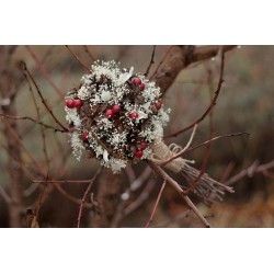 Wedding bouquet with cones...