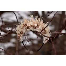 Floral, Flower headband, hairband