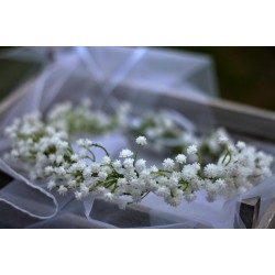 Floral, flower hair wreath, crown