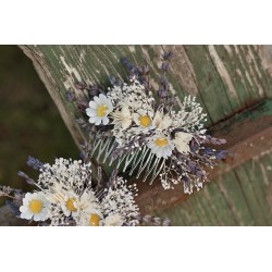 Floral, flower hair comb